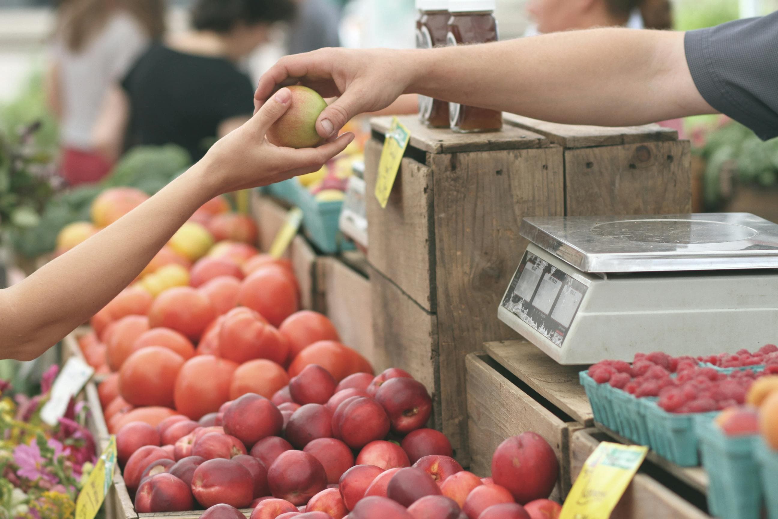 Strengthening Local Economies
